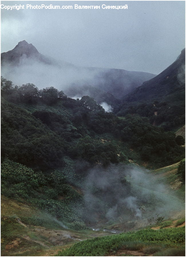 Fog, Mist, Outdoors, Plant, Vegetation, Plateau