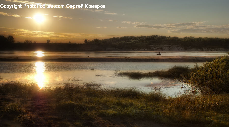 Land, Marsh, Pond, Swamp, Water, Field, Grass