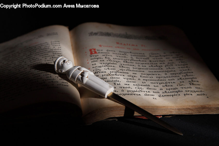 Diary, Text