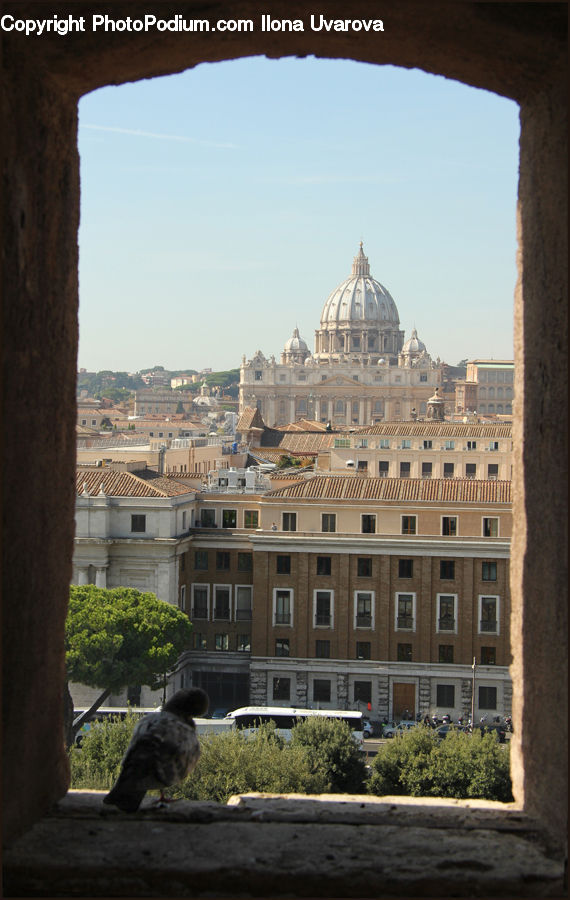 Architecture, Cathedral, Church, Worship, Bus, Vehicle, Plant