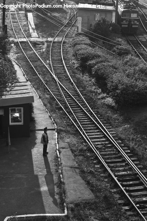 Rail, Train Track, Train, Vehicle, Locomotive, Transportation