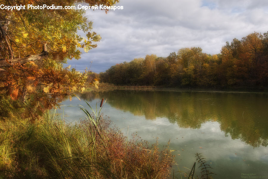 Lake, Outdoors, Water, Field, Grass, Grassland, Plant