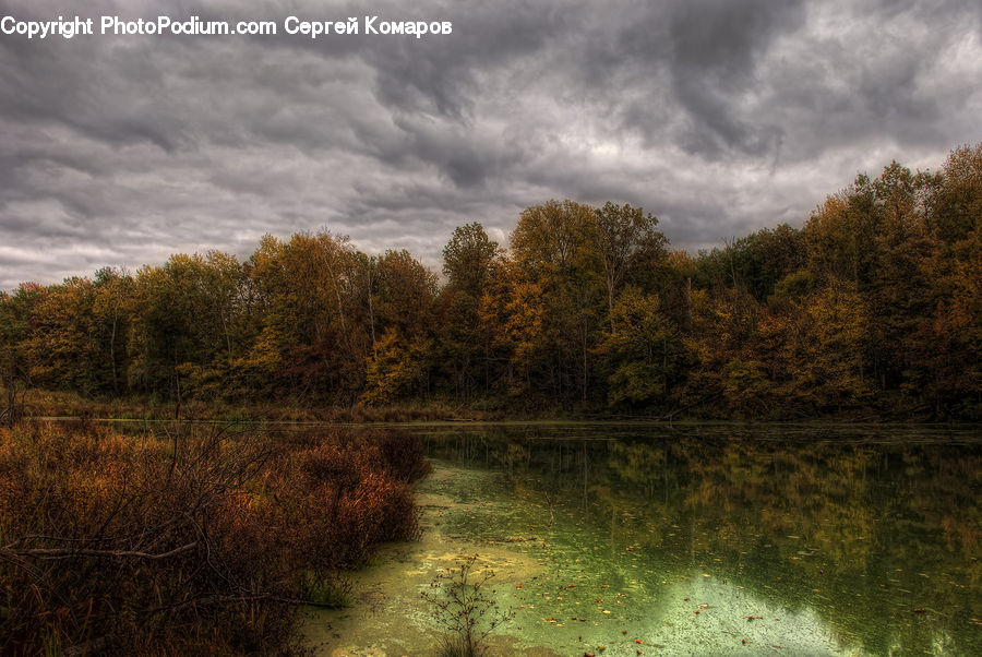Land, Marsh, Pond, Swamp, Water, Cloud, Cumulus