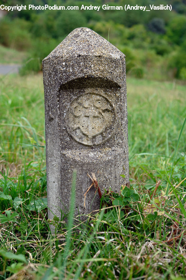 Tomb, Tombstone, Herbal, Herbs, Plant, Planter, Blossom
