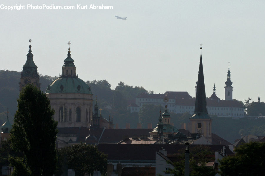 Plant, Potted Plant, Architecture, Bell Tower, Clock Tower, Tower, Spire