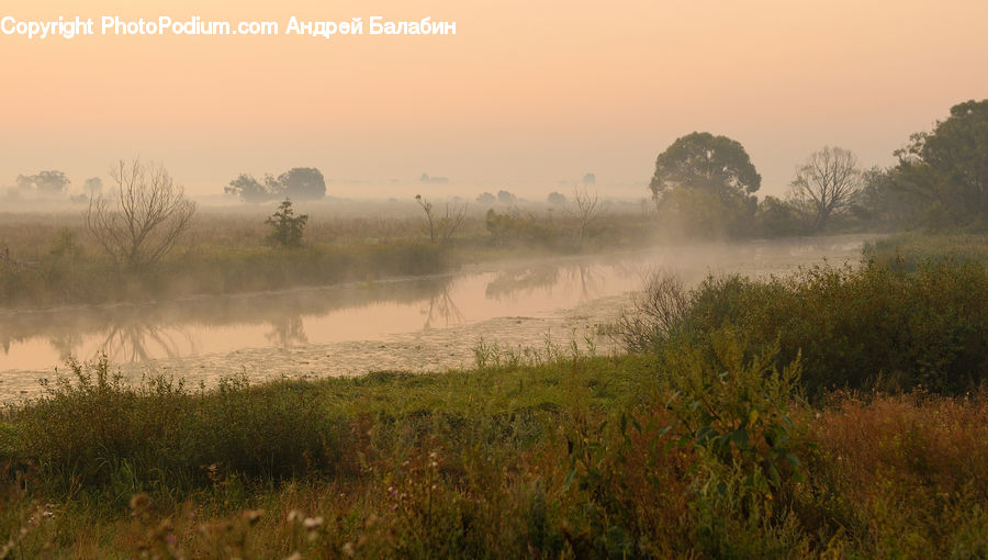 Fog, Dawn, Dusk, Sky, Sunrise, Sunset, Mist