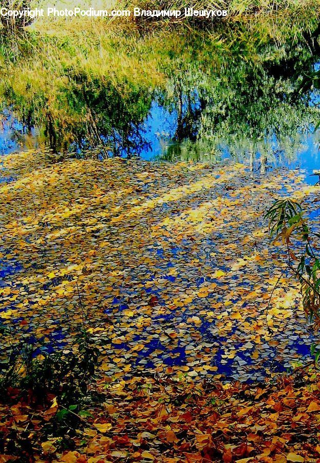 Art, Painting, Butterfly, Insect, Monarch, Maple, Tree