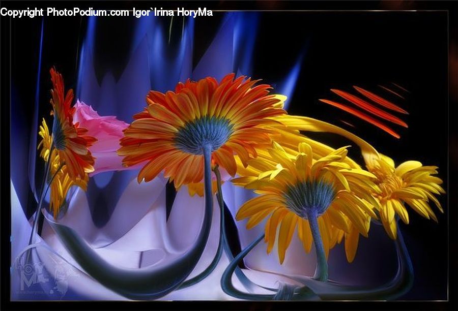 Daisies, Daisy, Flower, Plant, Electronics, LCD Screen, Monitor