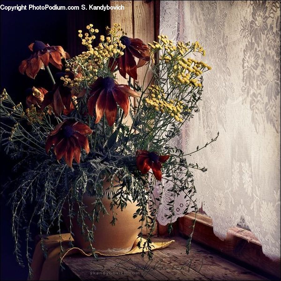 Plant, Potted Plant, Mold, Jar, Porcelain, Vase, Floral Design