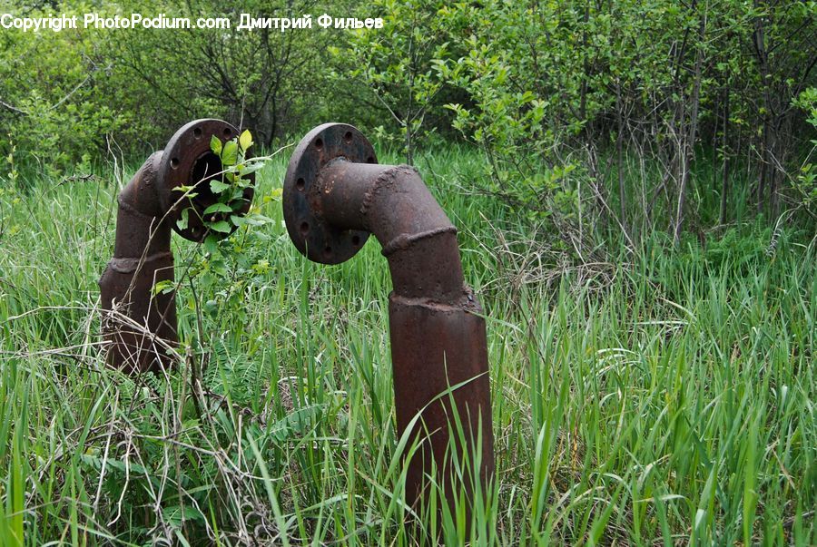 Rust, Field