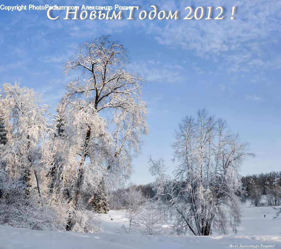 Frost, Ice, Outdoors, Snow, Landscape, Nature, Scenery