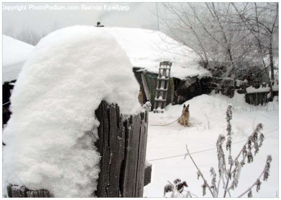 Ice, Outdoors, Snow
