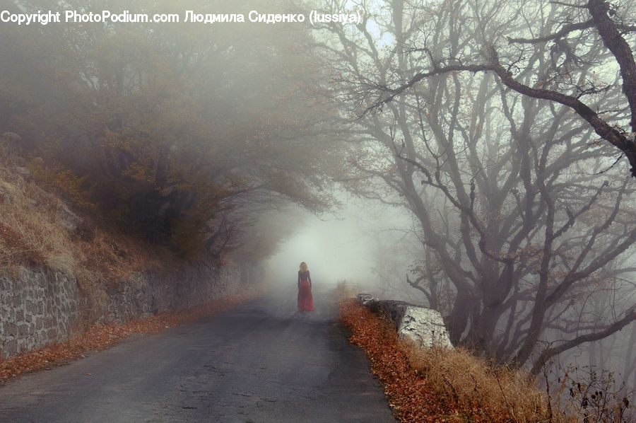 Dirt Road, Gravel, Road, Frost, Ice, Outdoors, Snow
