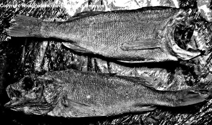 Tiki, Totem, Food, Seafood, Fish, Herring, Sea Life