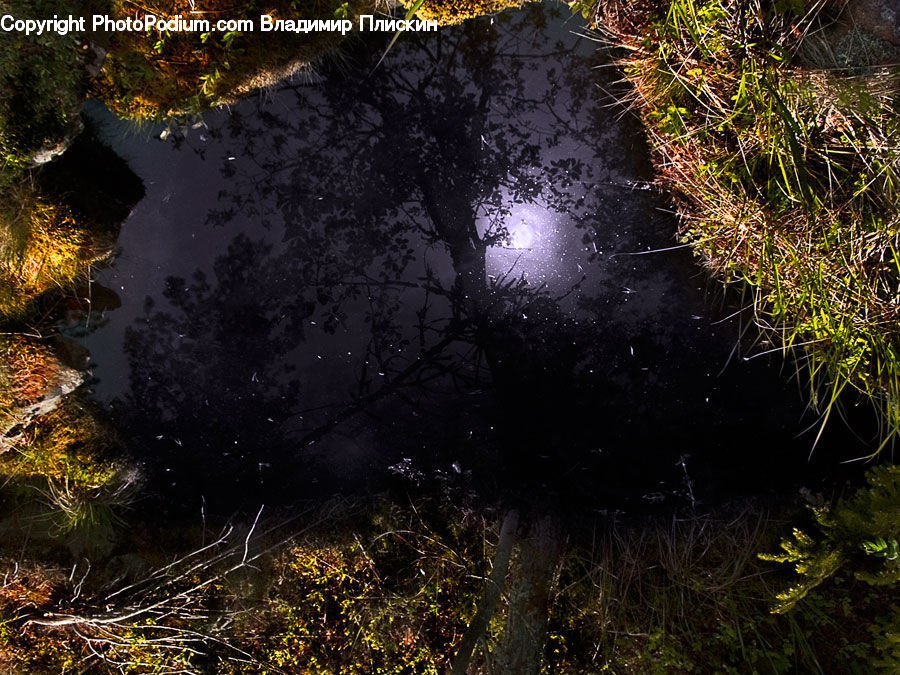 Night, Outdoors, Hole, Bush, Plant, Vegetation, Field