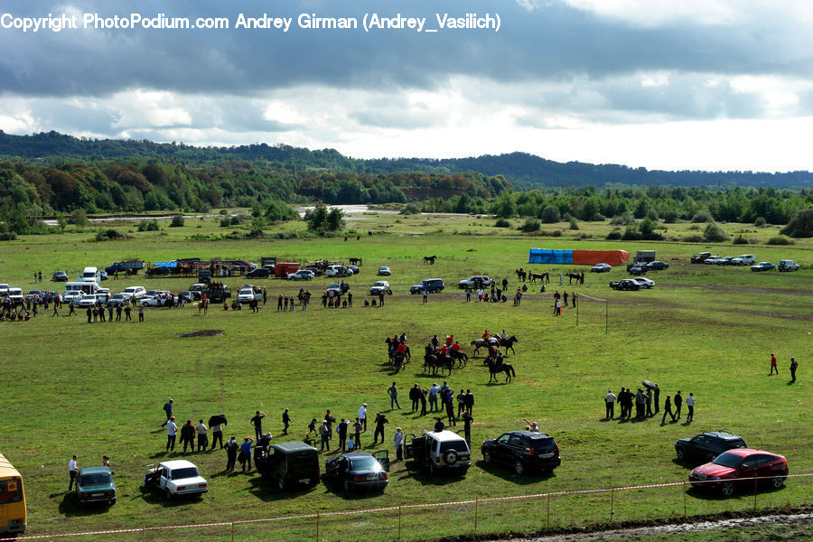 Field, Grass, Grassland, Land, Outdoors, Countryside, Meadow