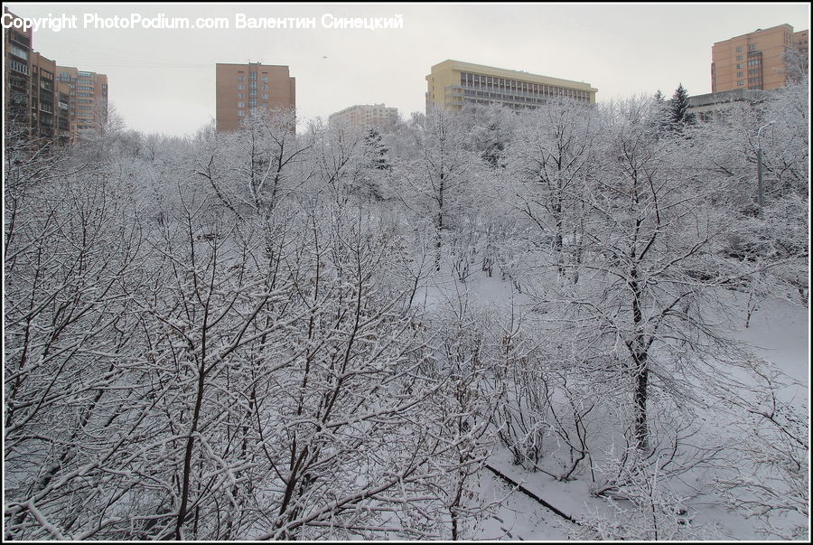 Frost, Ice, Outdoors, Snow, Blizzard, Weather, Winter