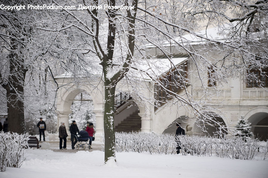 Bench, Ice, Outdoors, Snow, Campus, Architecture
