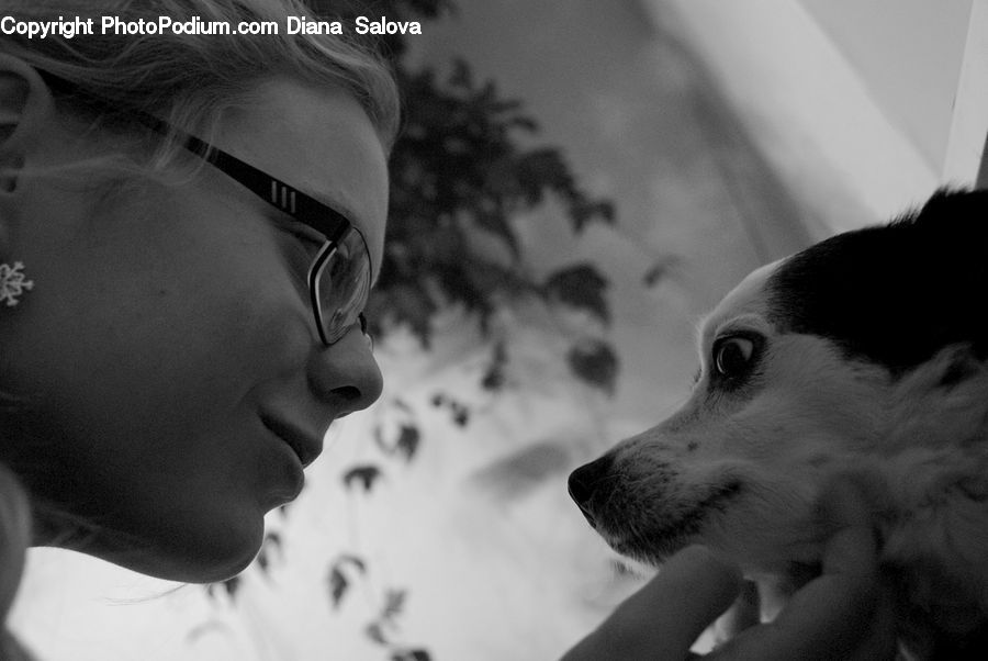 People, Person, Human, Animal, Beagle, Canine, Dog
