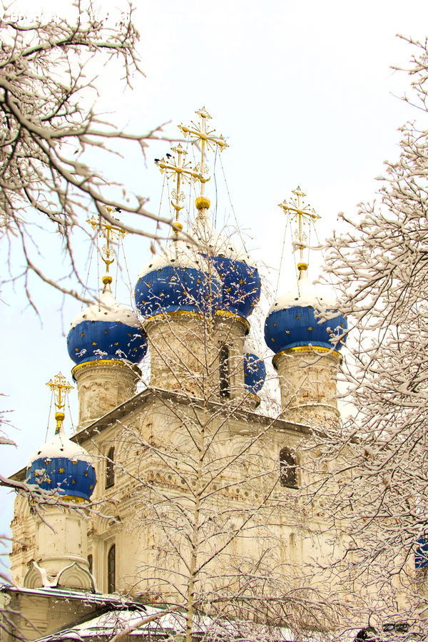 Architecture, Bell Tower, Clock Tower, Tower, Castle, Fort, Collage