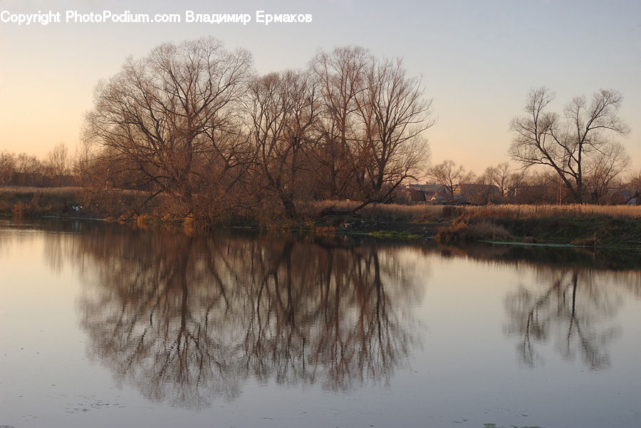 Flood, Landscape, Nature, Scenery, Field, Grass, Grassland