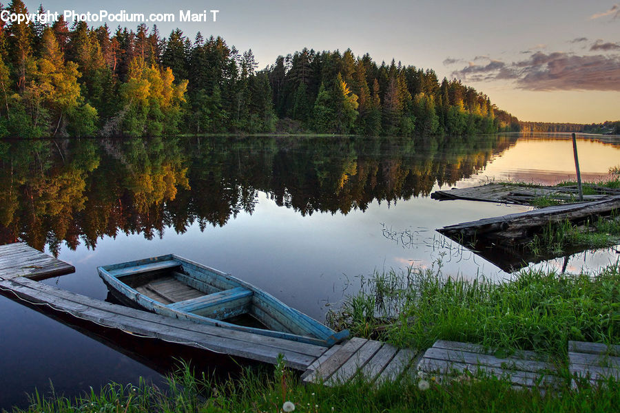 Boat, Dinghy, Rowboat, Vessel, Canoe, Forest, Vegetation