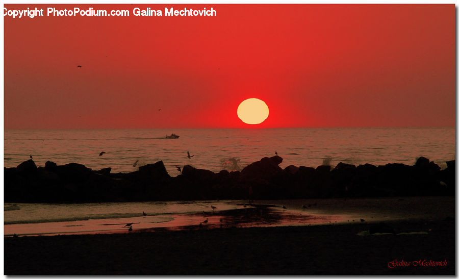 Dawn, Dusk, Red Sky, Sky, Sunrise, Sunset, Sun