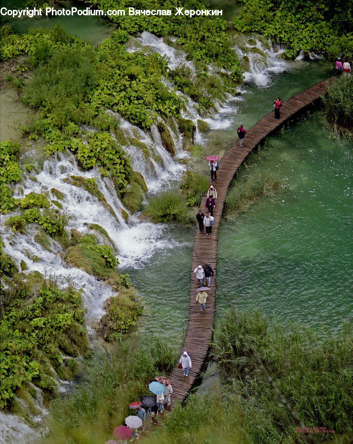 Creek, Outdoors, River, Water, Blossom, Flora, Flower