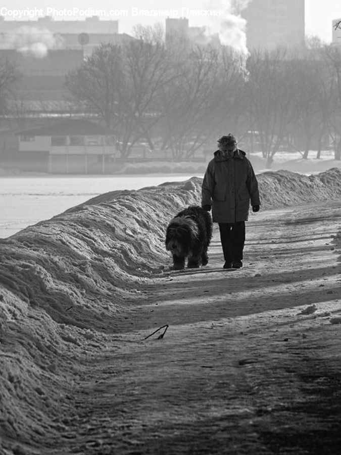 Human, People, Person, Ice, Outdoors, Snow, Leisure Activities