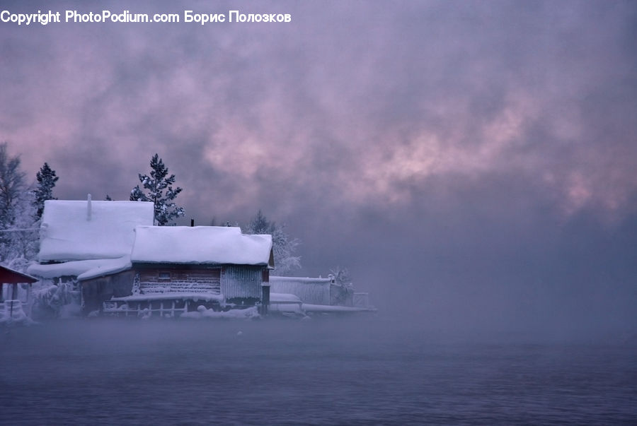 Plant, Potted Plant, Ice, Outdoors, Snow, Building, Cottage