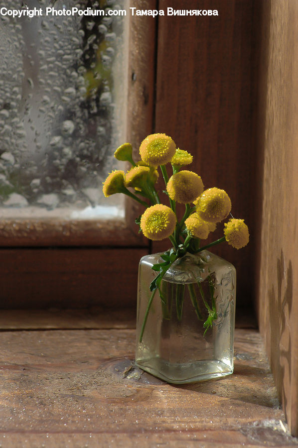 Floral Design, Flower, Flower Arrangement, Flower Bouquet, Ikebana, Blossom, Flora