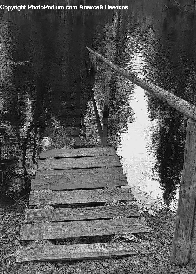 Dock, Landing, Pier, Path, Trail, Forest, Vegetation