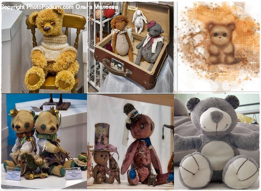 People, Person, Human, Teddy Bear, Toy, Cookie, Food