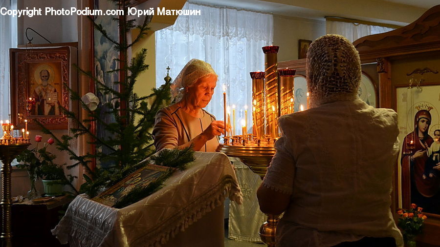 Plant, Potted Plant, People, Person, Human, Buddha, Shrine
