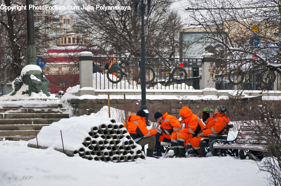 Team, Plant, Tree, Ice, Outdoors, Snow, Oak