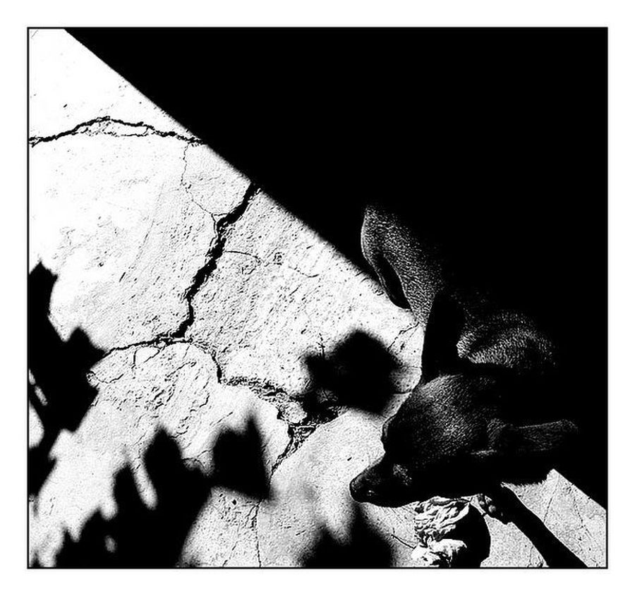 Collage, Poster, Silhouette, Paper