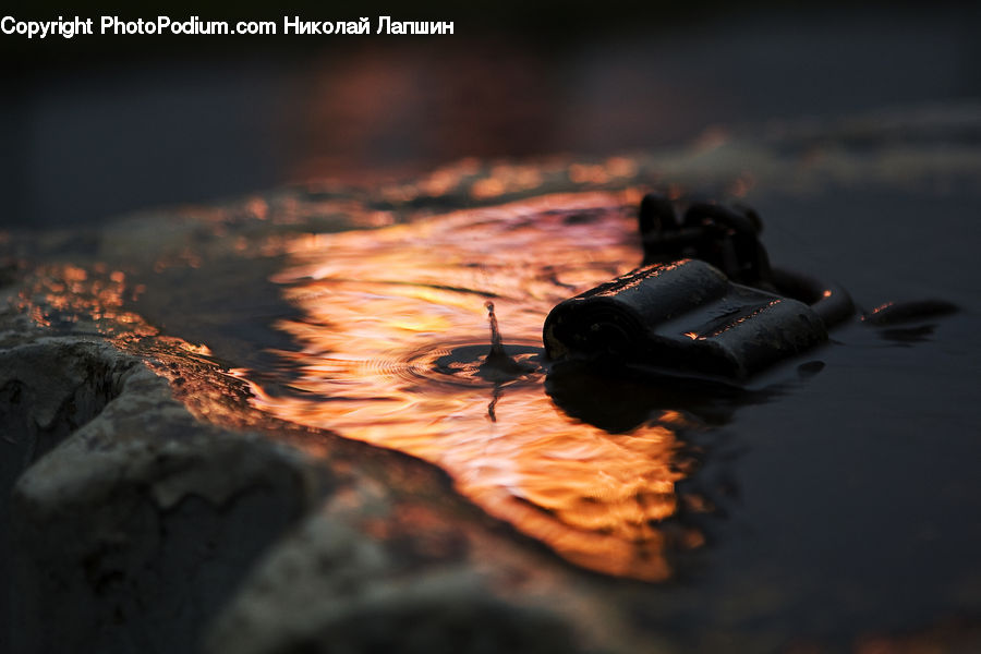 Chocolate, Dessert, Food, Arachnid, Black Widow, Garden Spider, Insect