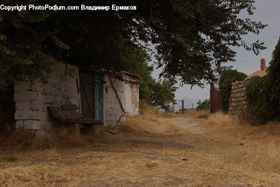 Plant, Potted Plant, Cabin, Hut, Rural, Shack, Shelter