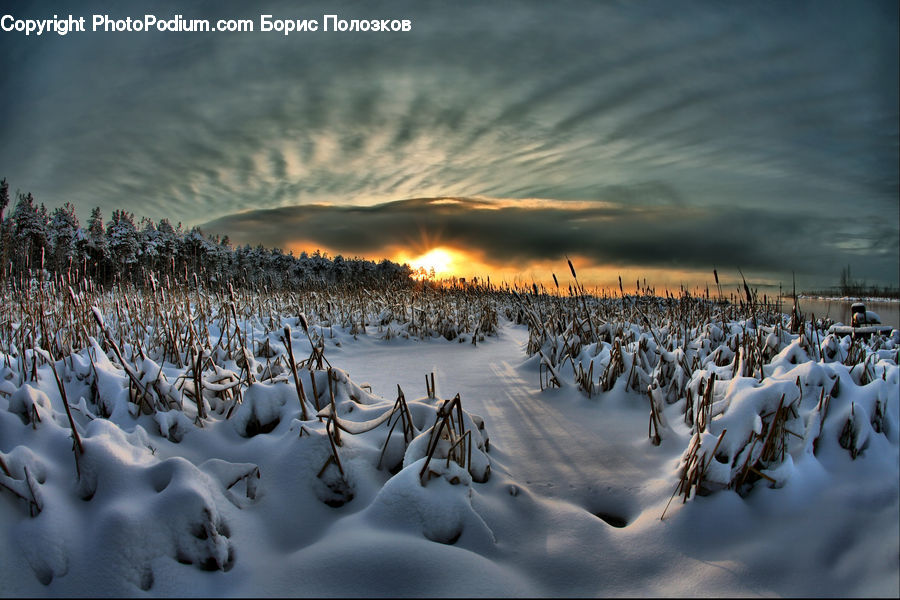 Ice, Outdoors, Snow, Sand, Soil