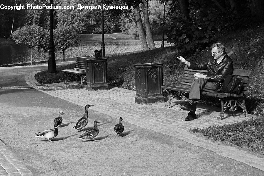People, Person, Human, Chair, Furniture, Bench, Bird