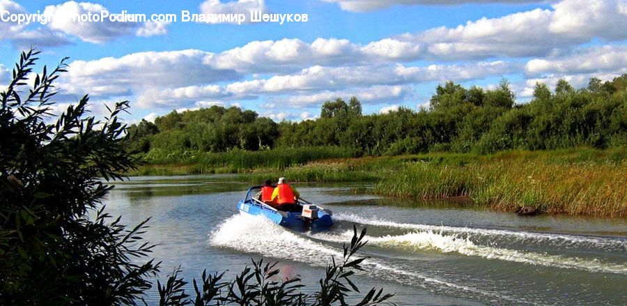 Plant, Potted Plant, Boat, Canoe, Rowboat, Grass, Reed