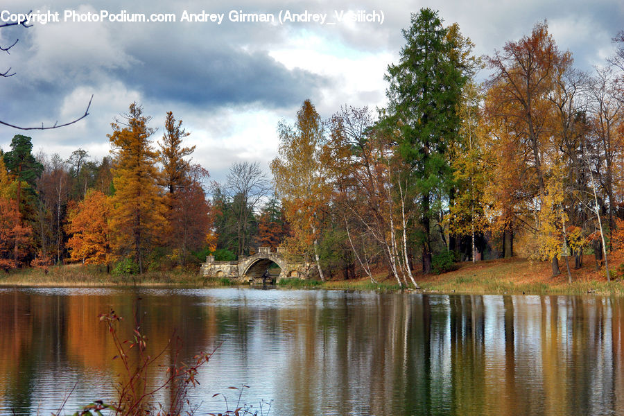 Lake, Outdoors, Water, Forest, Vegetation, Canal, River
