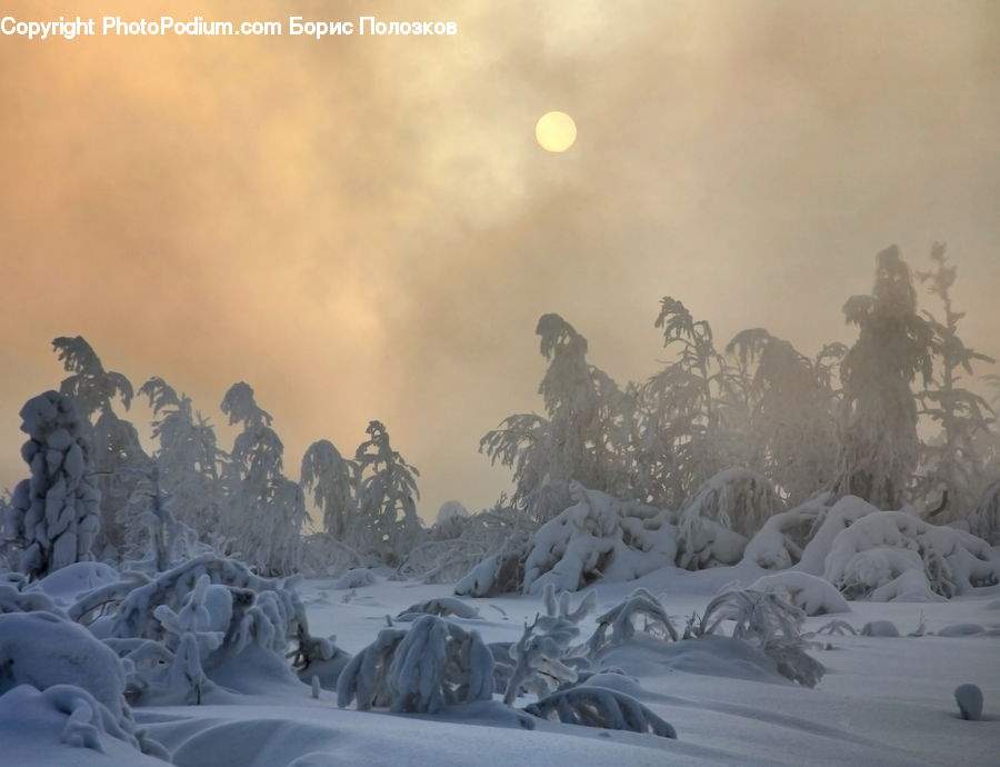 Blizzard, Outdoors, Snow, Weather, Winter, Ice, Fog