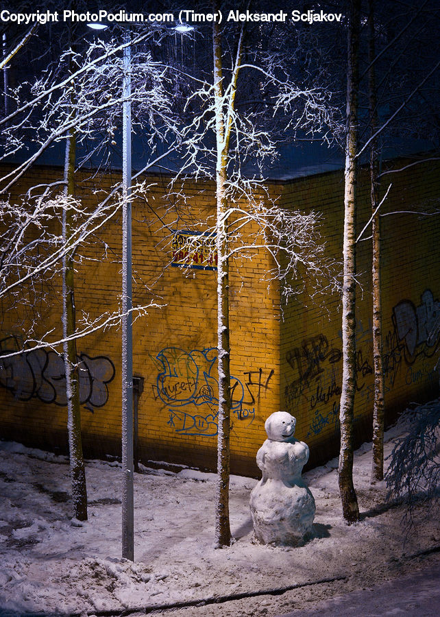 Ice, Snow, Snowman, Winter, Birch, Tree, Wood