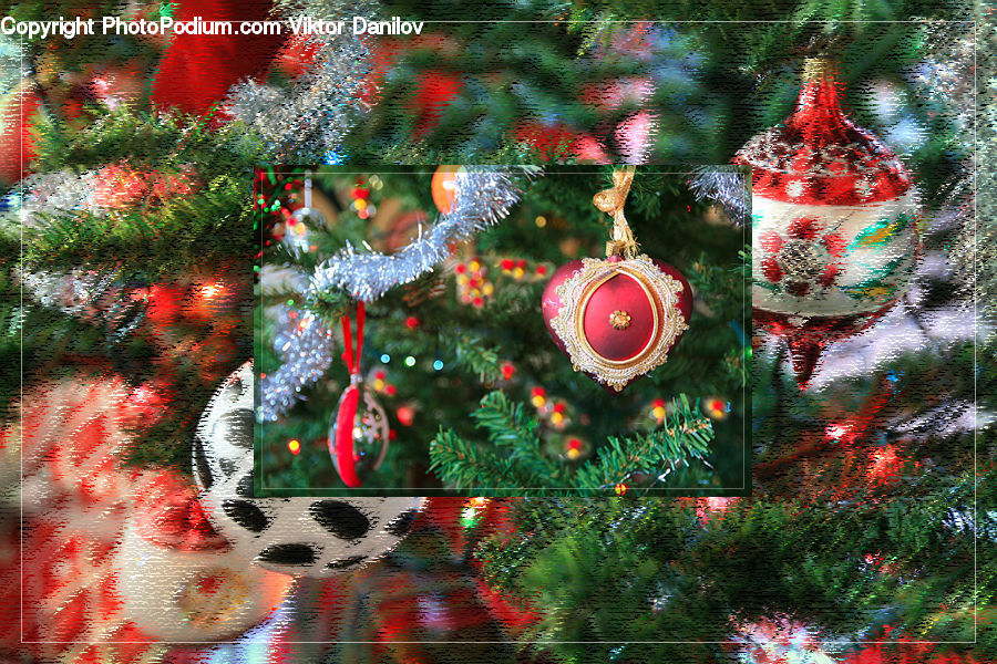 Ornament, Backyard, Yard, Collage, Poster, Blossom, Flora