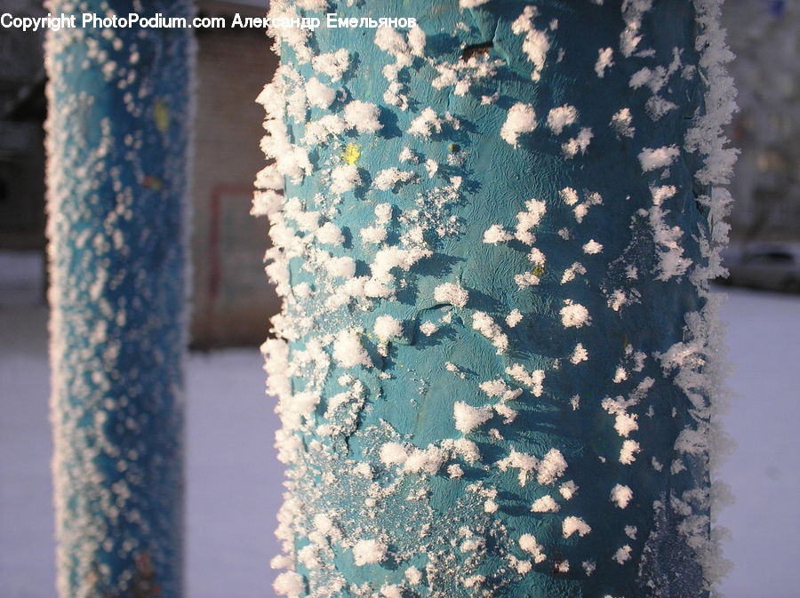 Ice, Icicle, Snow, Winter, Lace, Blossom, Flora