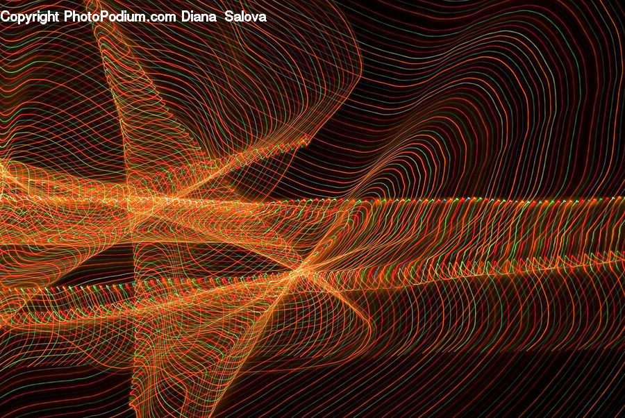 Fractal, Insect, Spider Web