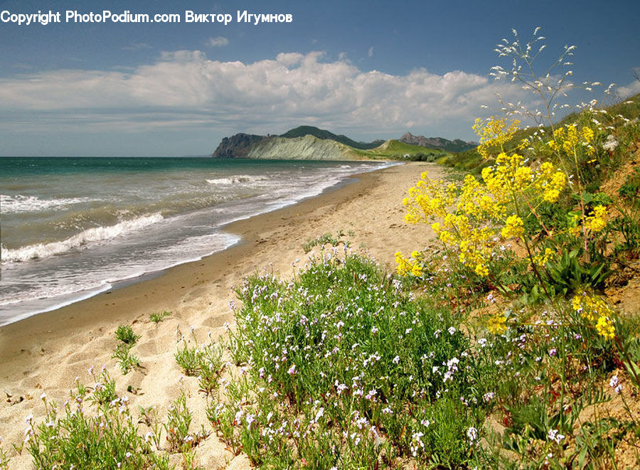 Beach, Coast, Outdoors, Sea, Water, Sand, Soil