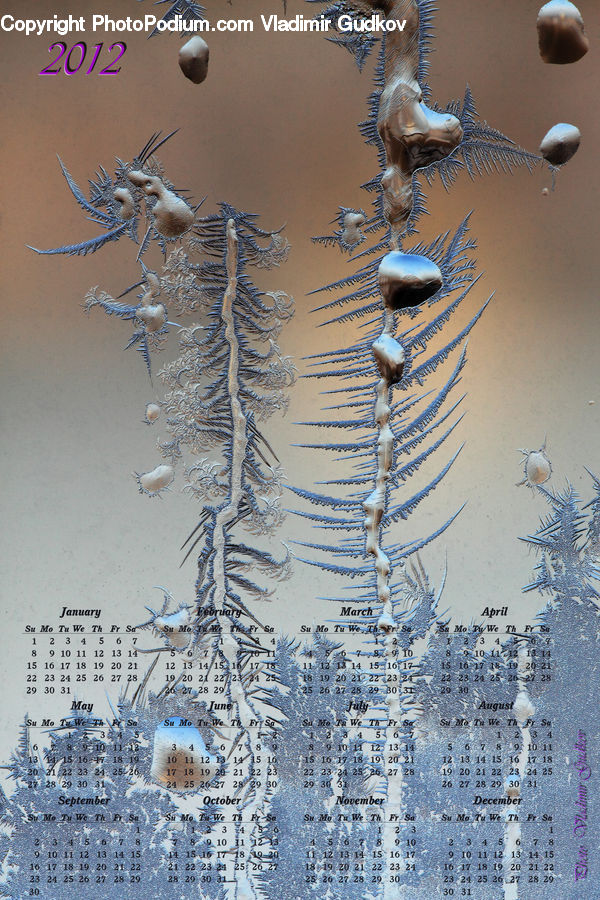 Autograph, Handwriting, Signature, Diagram, Drawing, Skeleton, Art