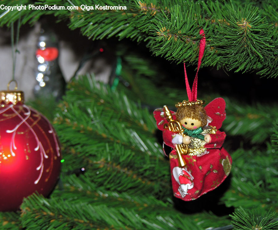 Ornament, Conifer, Fir, Plant, Tree, Figurine, Blossom